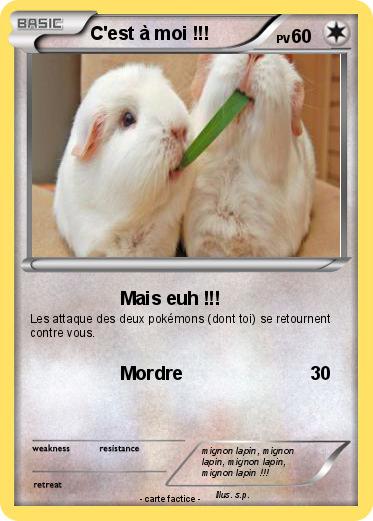 Pokemon C'est à moi !!!