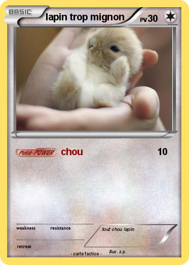 Pokemon lapin trop mignon