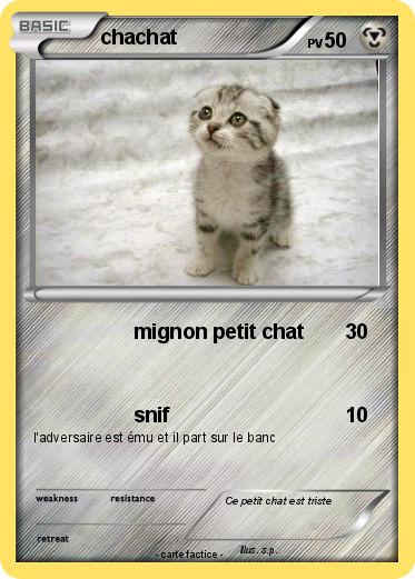 Pokemon chachat