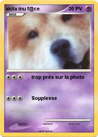 Pokemon akita inu f@ce