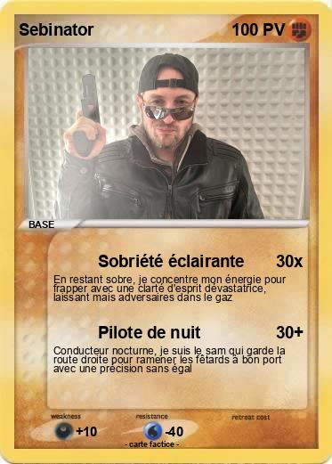 Pokemon Sebinator