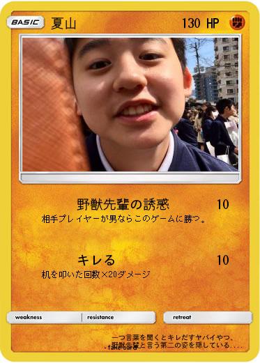 Pokemon 夏山