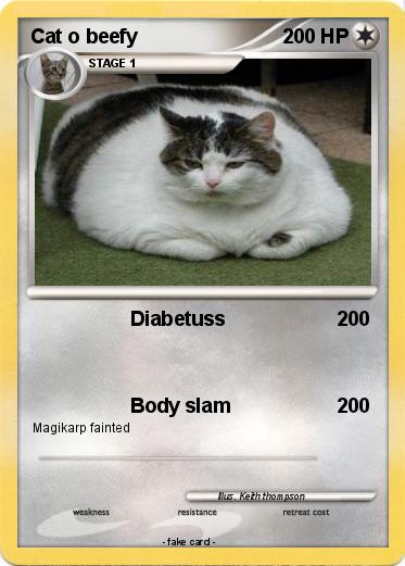 Pokemon Cat o beefy