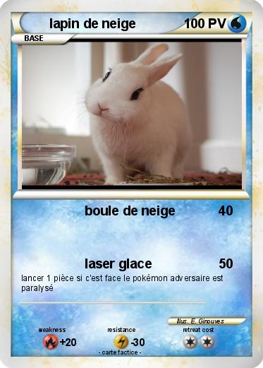 Pokemon lapin de neige