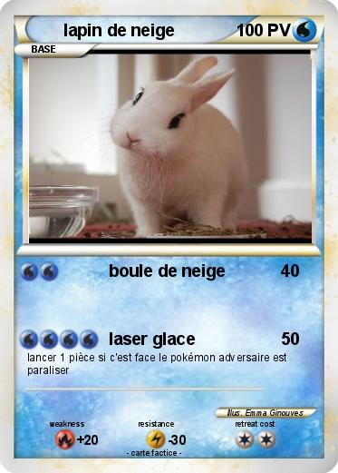 Pokemon lapin de neige