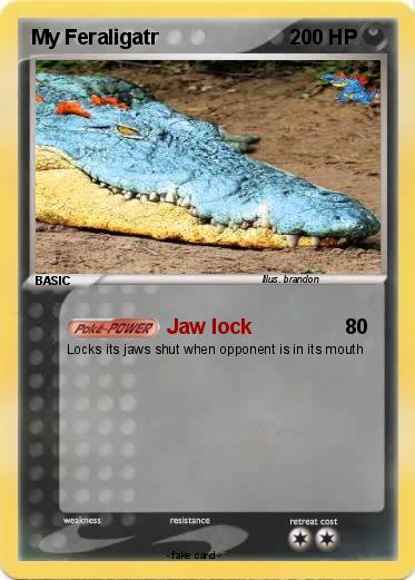 Pokemon My Feraligatr