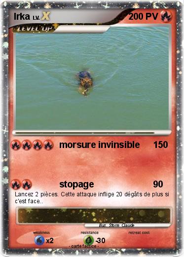 Pokemon Irka