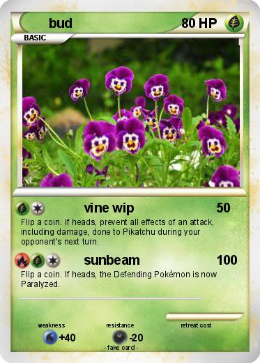 Pokemon bud