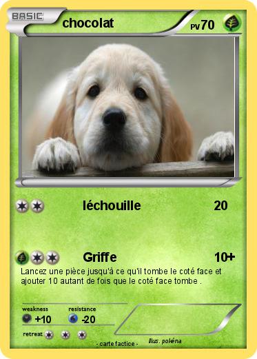 Pokemon chocolat