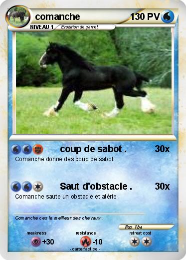 Pokemon comanche