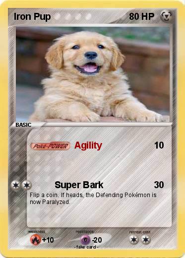 Pokemon Iron Pup