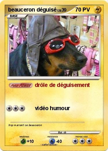 Pokemon beauceron déguisé