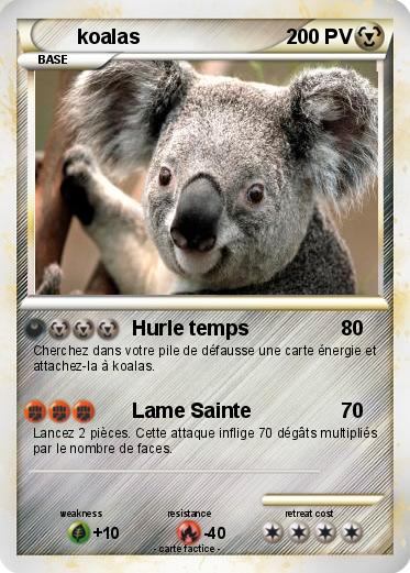 Pokemon koalas