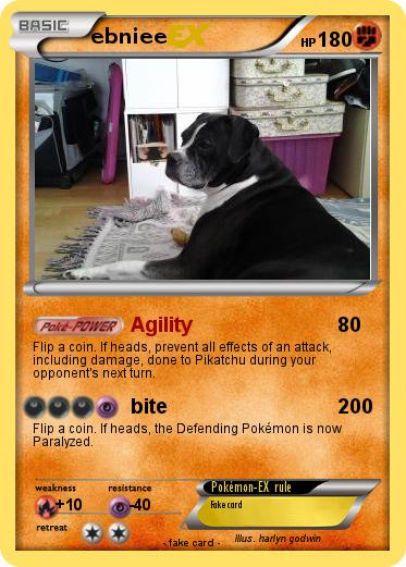 Pokemon ebniee