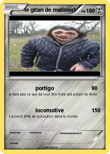 Pokemon le gitan de mallmort