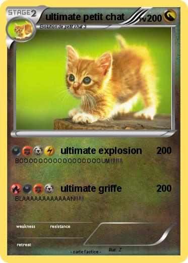 Pokemon ultimate petit chat
