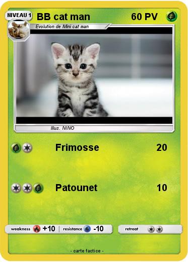 Pokemon BB cat man