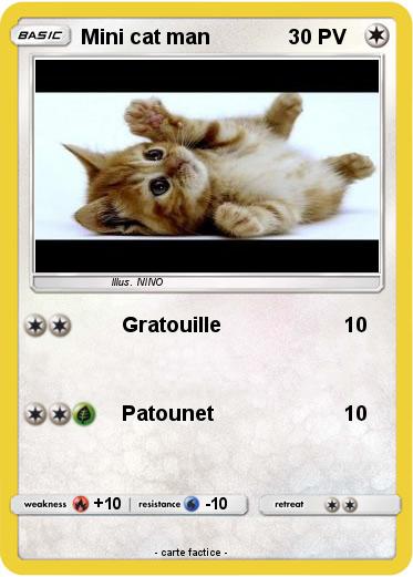 Pokemon Mini cat man