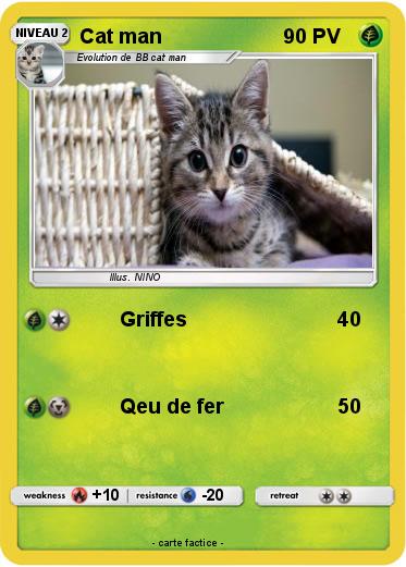 Pokemon Cat man