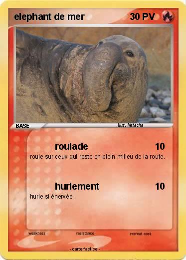 Pokemon elephant de mer