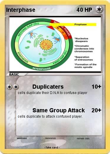 Pokemon Interphase