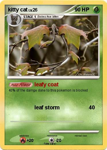 Pokemon kitty cat