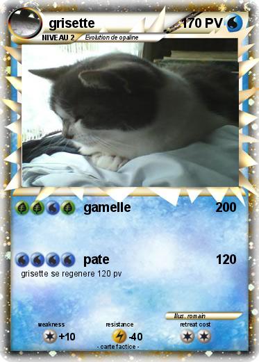 Pokemon grisette