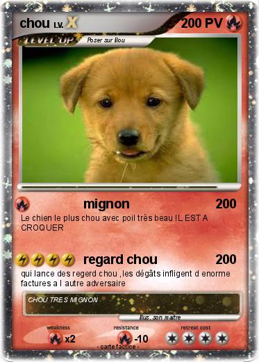 Pokemon chou
