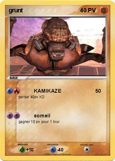 Pokemon grunt