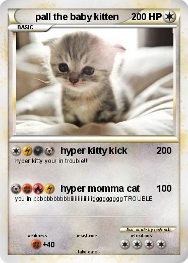 Pokemon pall the baby kitten