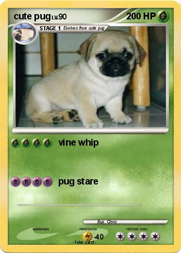 Pokemon cute pug