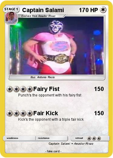 Pokemon Captain Salami