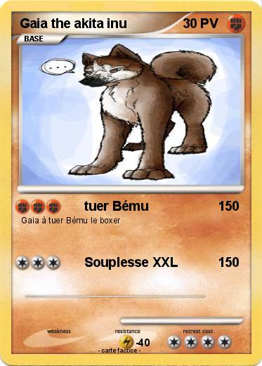 Pokemon Gaia the akita inu
