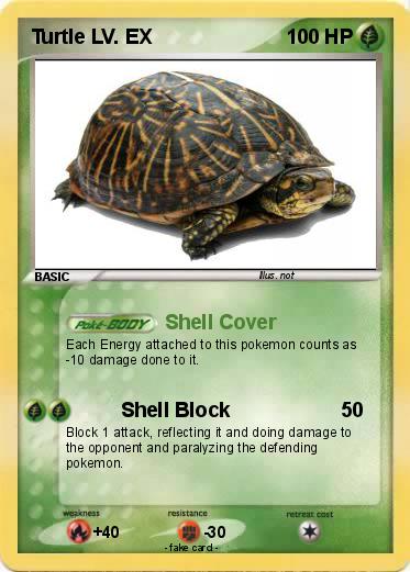 Pokemon Turtle LV. EX
