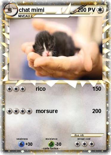 Pokemon chat mimi