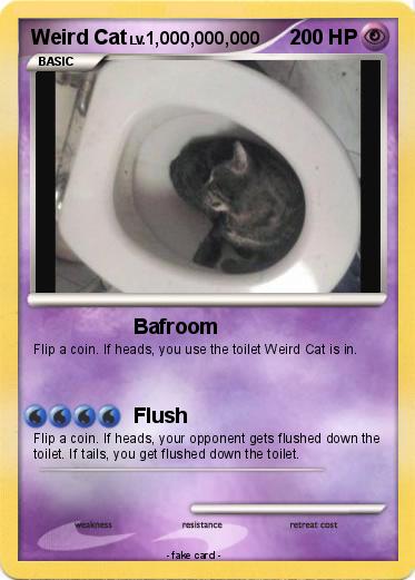 Pokemon Weird Cat