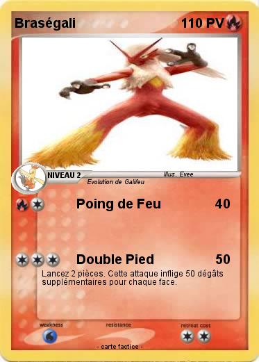 Pokemon Braségali