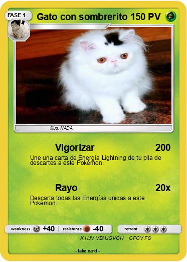Pokemon Gato con sombrerito