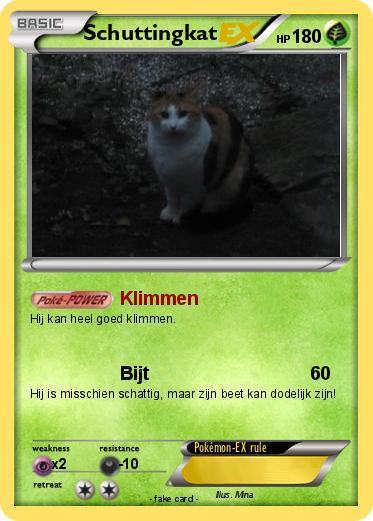 Pokemon Schuttingkat