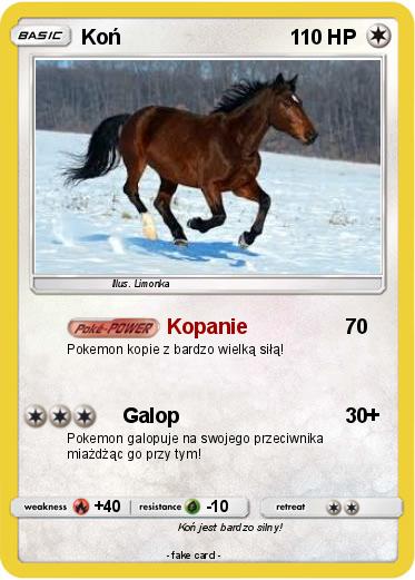 Pokemon Koń