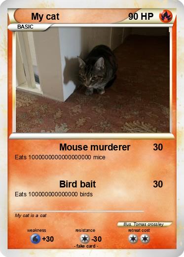 Pokemon My cat