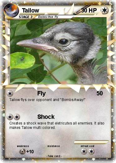 Pokemon Tailow