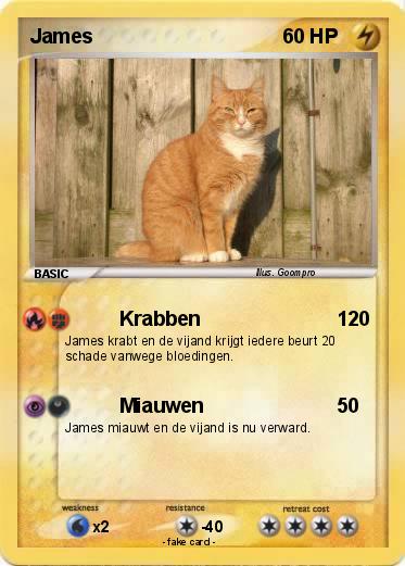Pokemon James