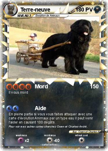 Pokemon Terre-neuve