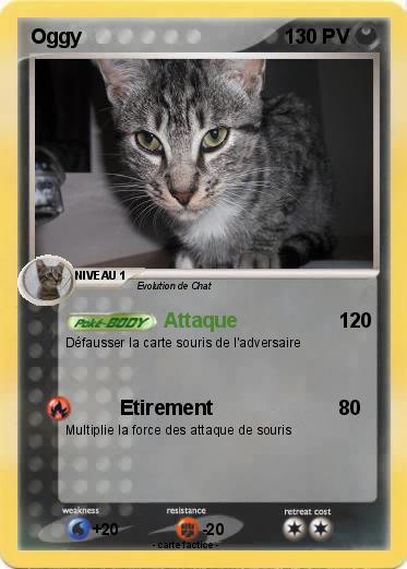 Pokemon Oggy