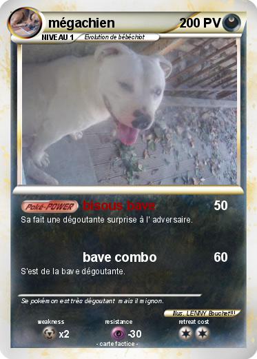 Pokemon mégachien