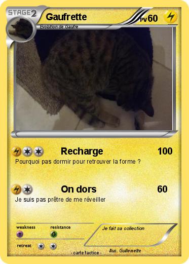 Pokemon Gaufrette