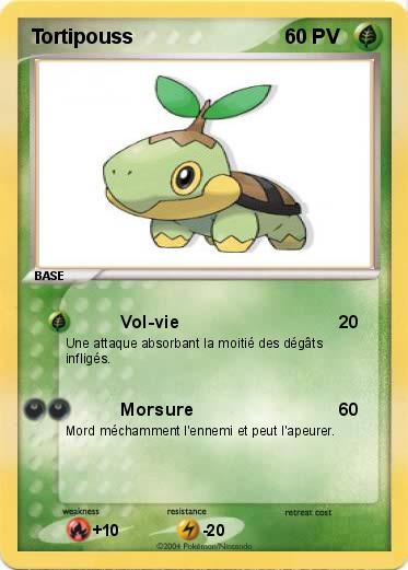 Pokemon Tortipouss