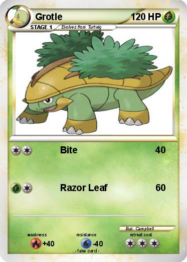 Pokemon Grotle