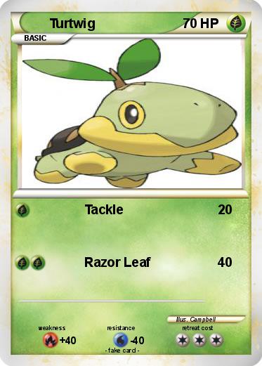 Pokemon Turtwig